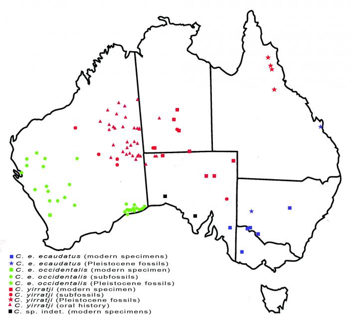 Map showing the distribution of the two species and subspecies.